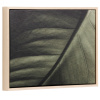 Foto-obraz kave home Foliae 30 x 40 cm