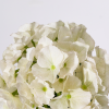 Umělá květina Hydrangea 50 cm  -fv-interier-25