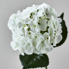 Umělá květina Hydrangea 50 cm  -fv-interier-25
